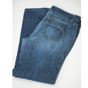 Ann Taylor Modern Fit Lindsey